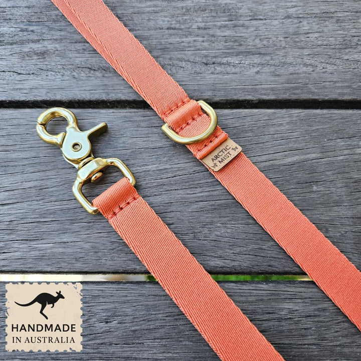 Tangerine Sunset Adventure Lead