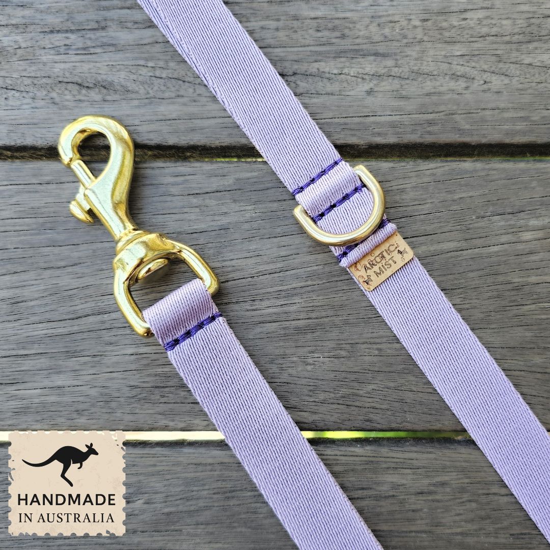 Lavender Adventure Lead