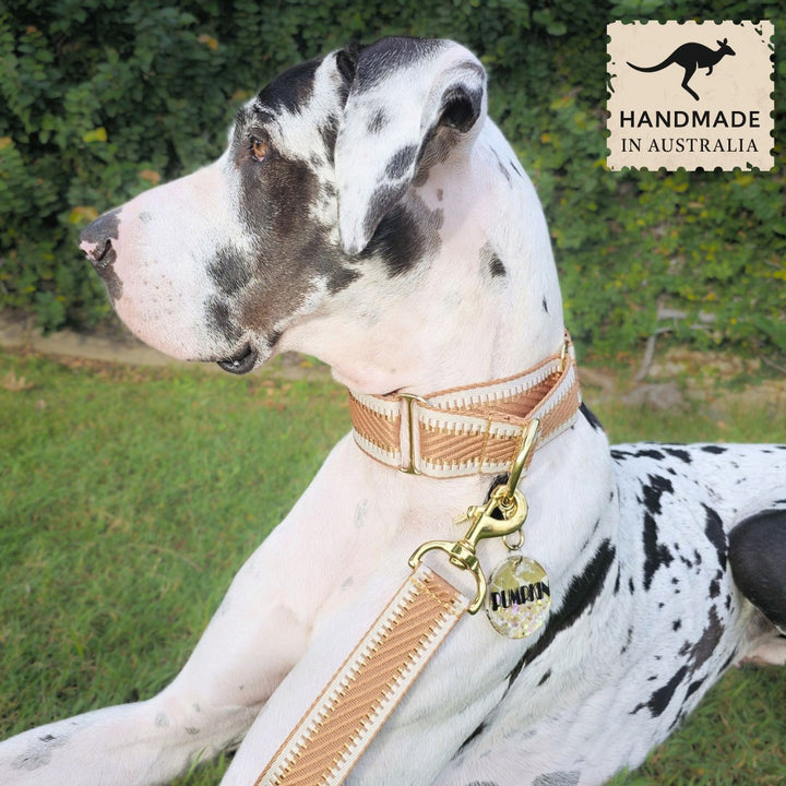 Caramel Latte St Tropez Martingale Collar (Sample)
