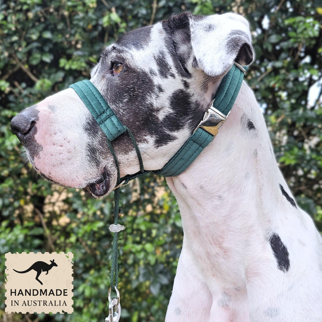 Forest Green Luxury Velvet Complete Training Halter
