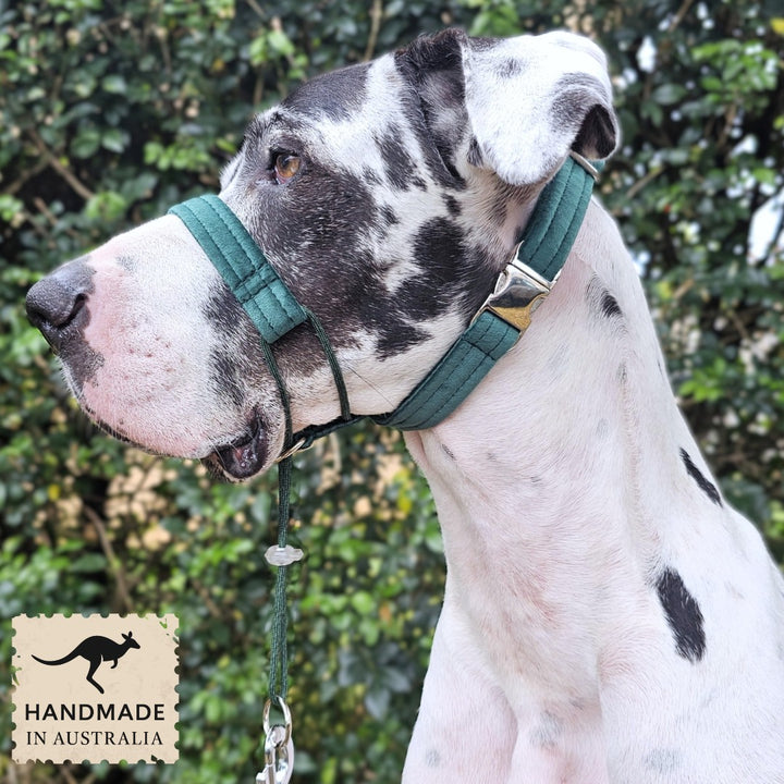 Forest Green Luxury Velvet Complete Training Halter