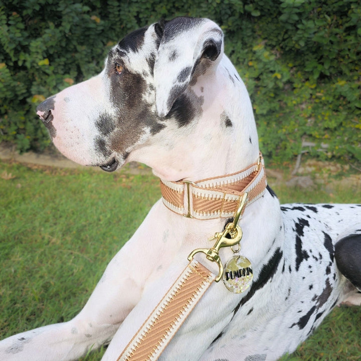 Caramel Latte St Tropez Martingale Collar