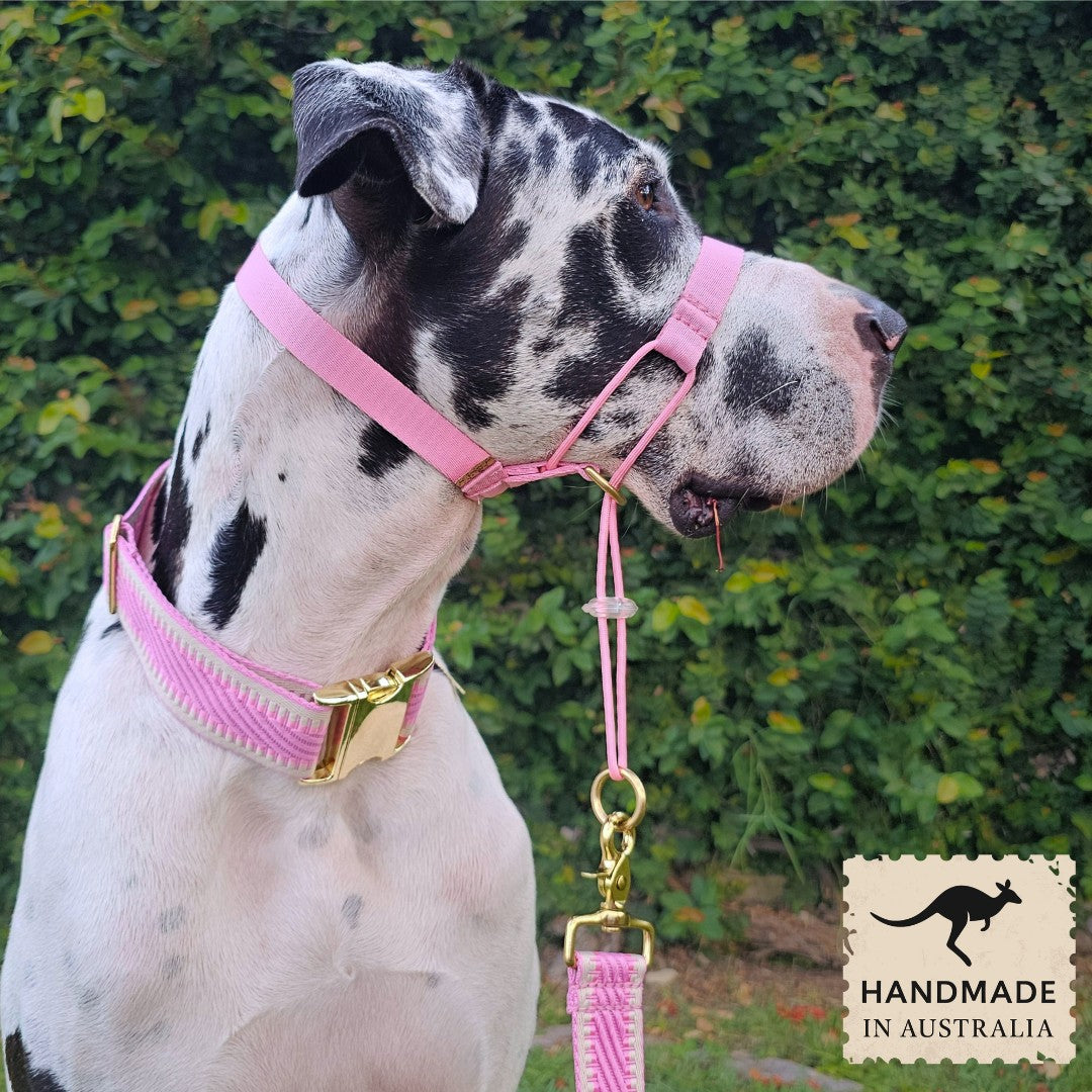 Candy Pink Complete Adventure Training Halter