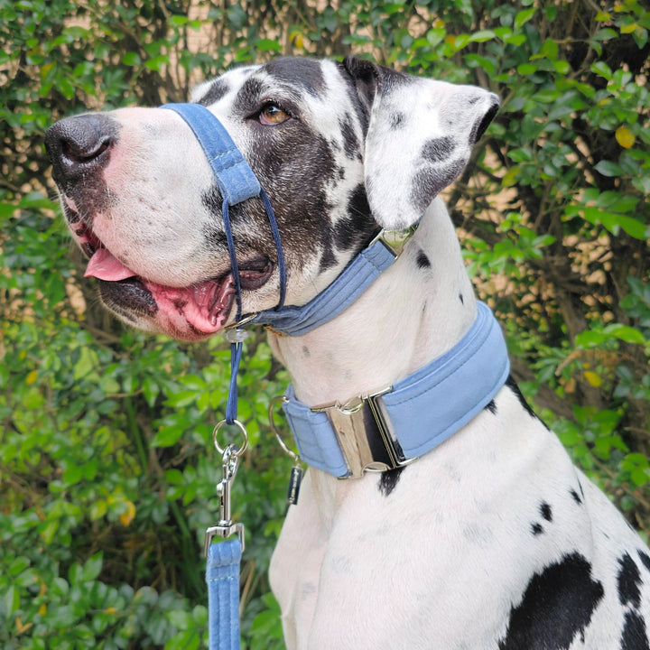 Storm Blue Luxury Velvet Complete Training Halter