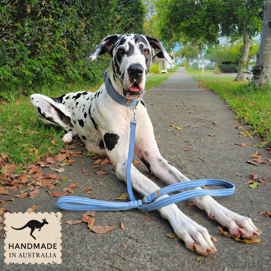 Storm Blue Luxury Velvet Lead