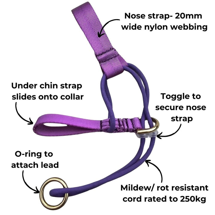 Royal Blue Adventure Head Halter Attachment