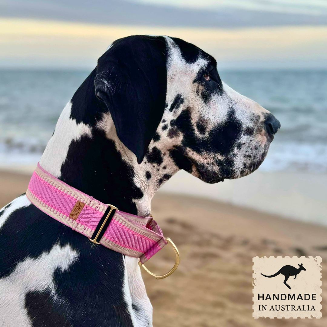 Candy Pink St Tropez Martingale Collar