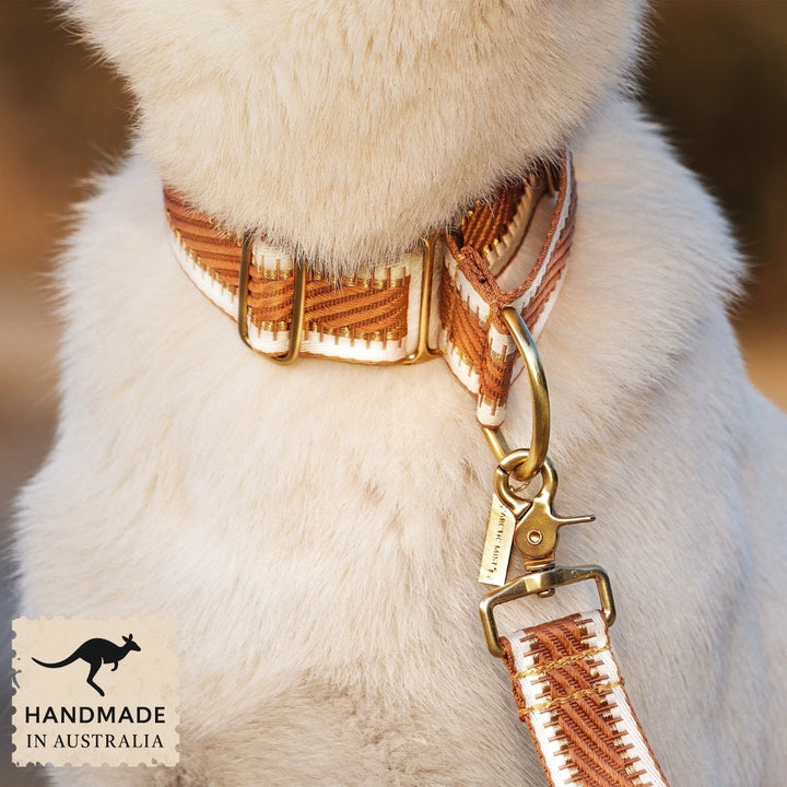Caramel Latte St Tropez Martingale Collar