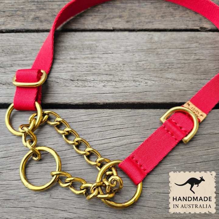 Red Adventure Chain Martingale Collar