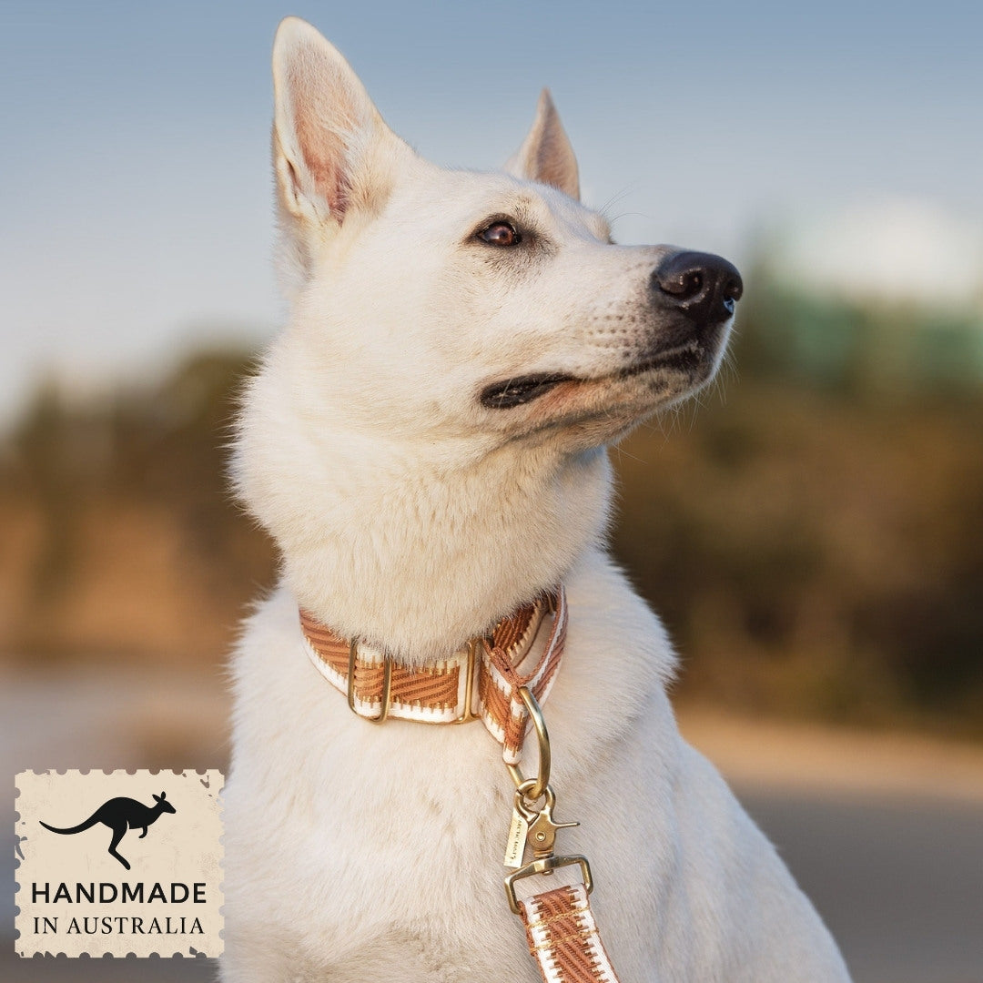 Caramel Latte St Tropez Martingale Collar