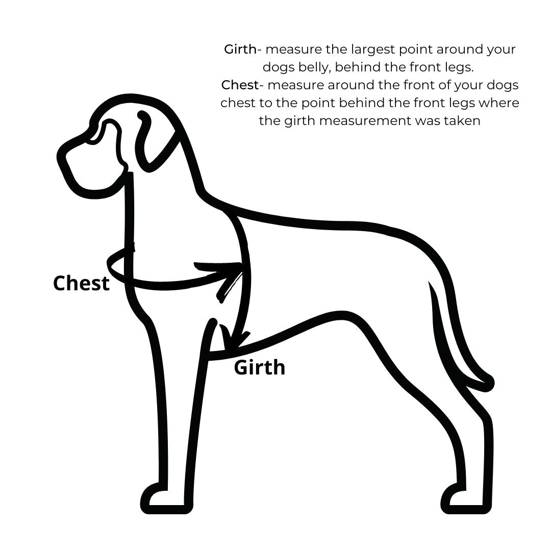 Little Dog Harness (20mm wide)