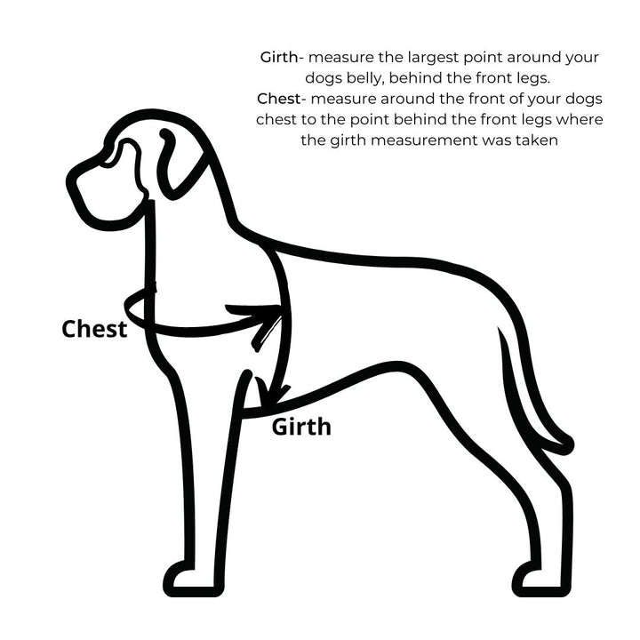 Little Dog Harness (20mm wide)