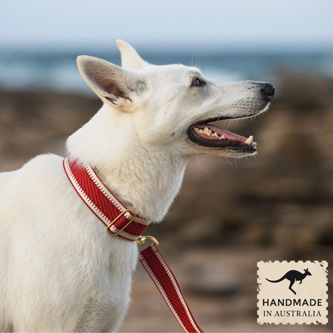 Red St Tropez Buckle Collar