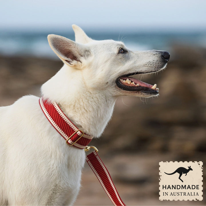 Red St Tropez Buckle Collar