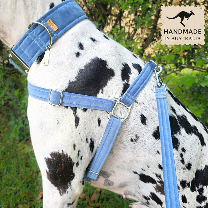 Storm Blue  Luxury Velvet Harness