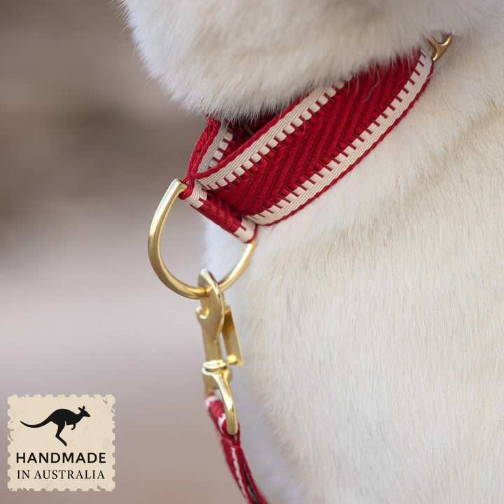 Red St Tropez Martingale Collar