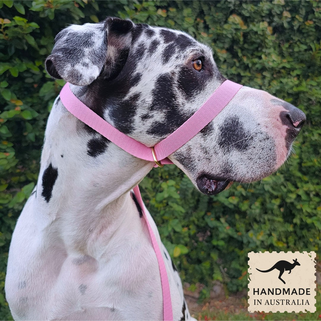 Candy Pink Adventure Slip Halter