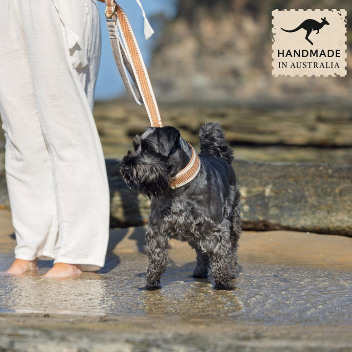 Caramel Latte St Tropez Statement Lead