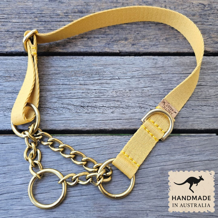 Bumblebee Yellow Adventure Chain Martingale Collar