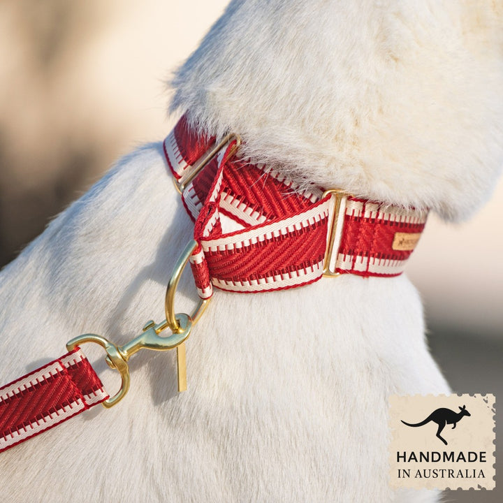 Red St Tropez Martingale Collar (Sample)