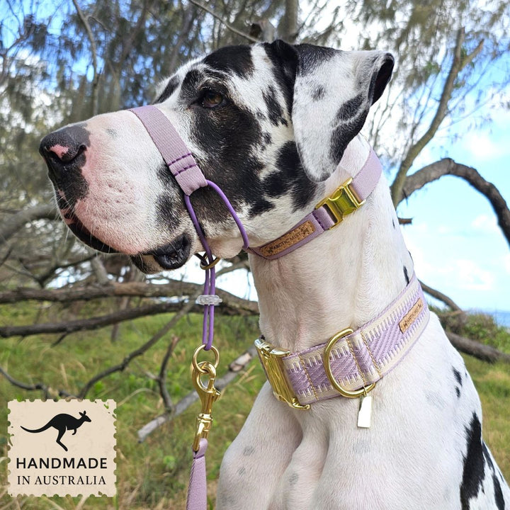 Lavender Complete Adventure Training Halter