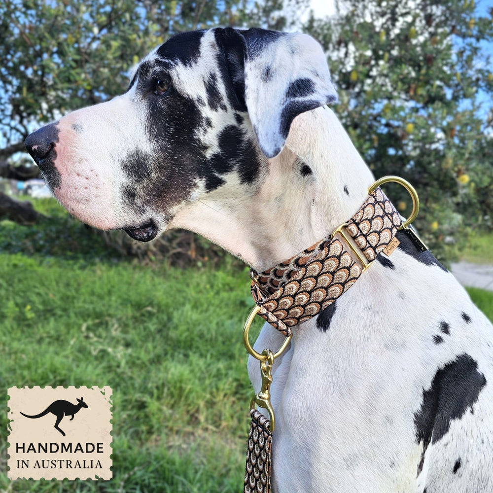 mocha mousse chocolate brown dog martingale collar slip collar