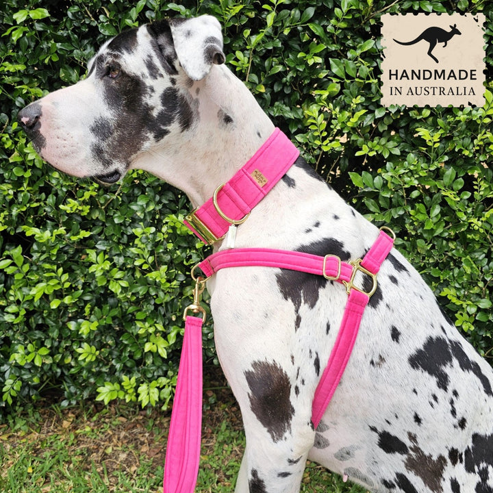 Hot Pink Luxury Velvet Harness