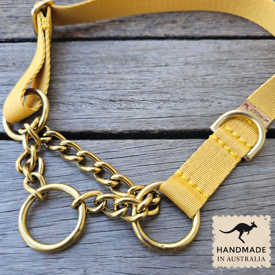 Bumblebee Yellow Adventure Chain Martingale Collar