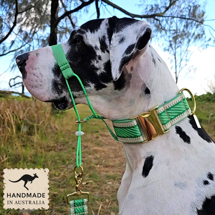Emerald Green Adventure Head Halter Attachment