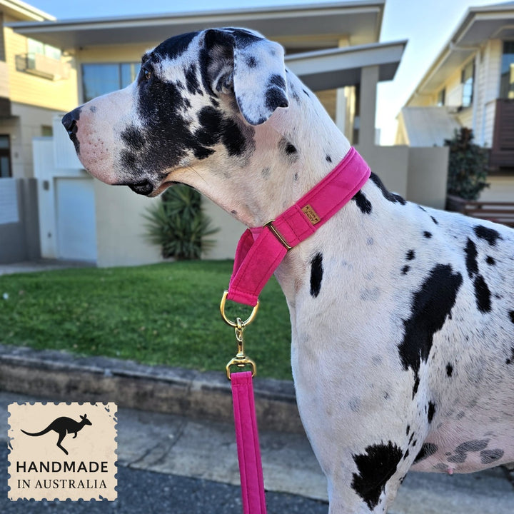 Hot Pink Luxury Velvet Martingale Collar