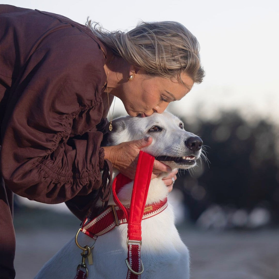 Red St Tropez Statement Lead