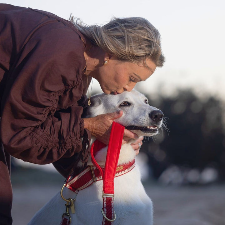 Red St Tropez Statement Lead