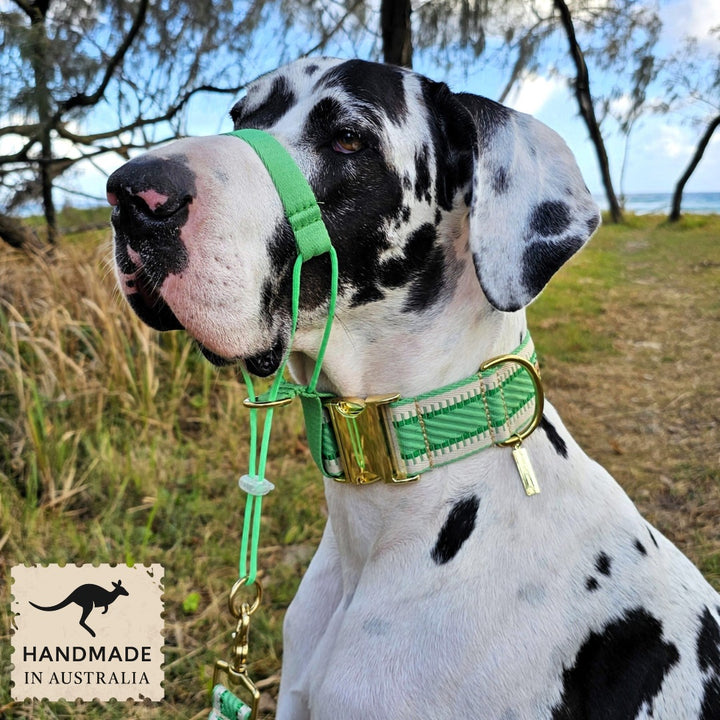 Emerald Green Adventure Head Halter Attachment