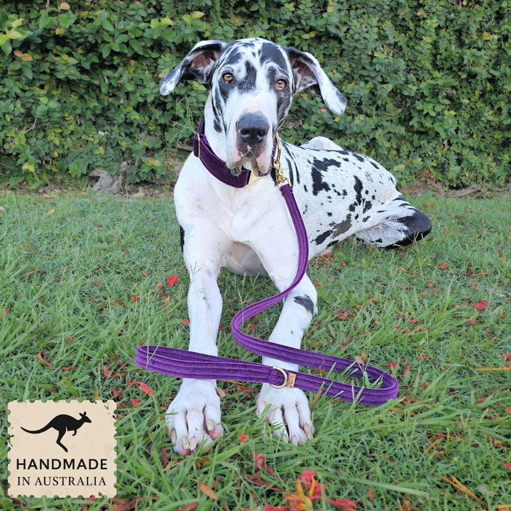 Midnight Plum Luxury Velvet Lead
