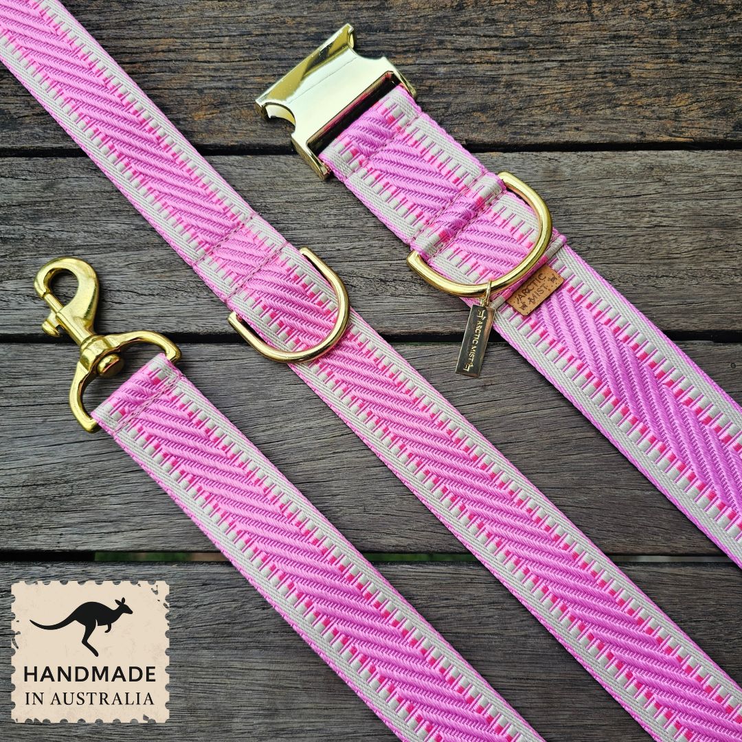 Candy Pink St Tropez Buckle Collar