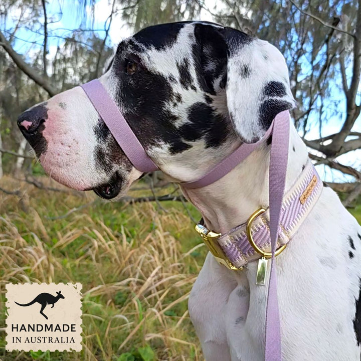 Lavender Adventure Slip Halter