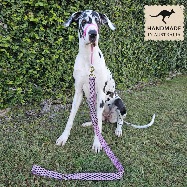 Berry Éclair Monte Carlo Statement Lead