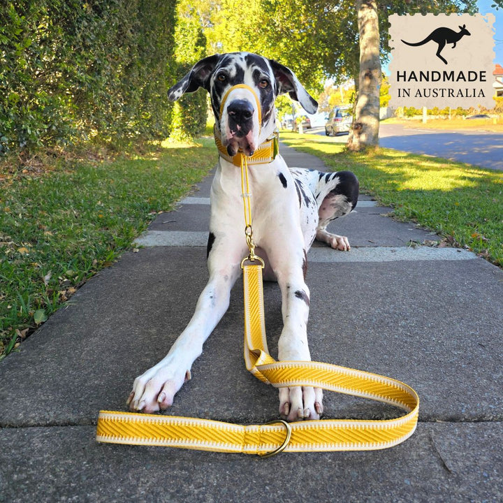 Bumblebee Yellow St Tropez Statement Lead