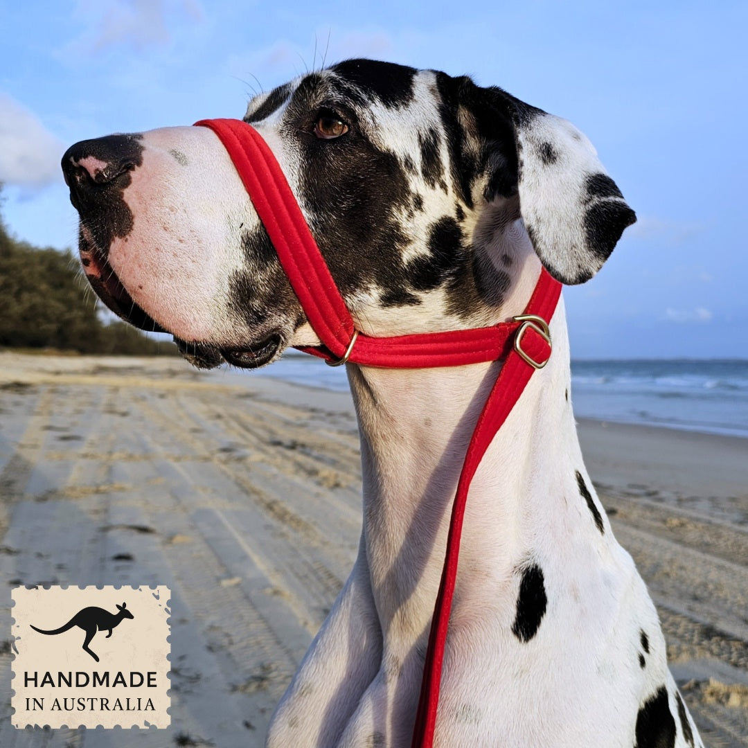 luxury red velvet slip lead slip collar head halter halti training dog collar