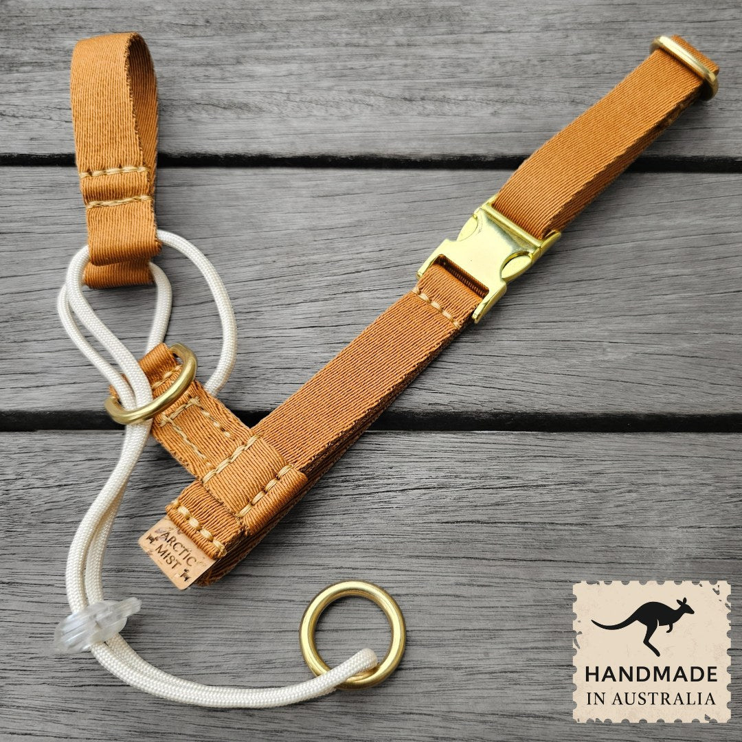 Caramel Latte Complete Adventure Training Halter