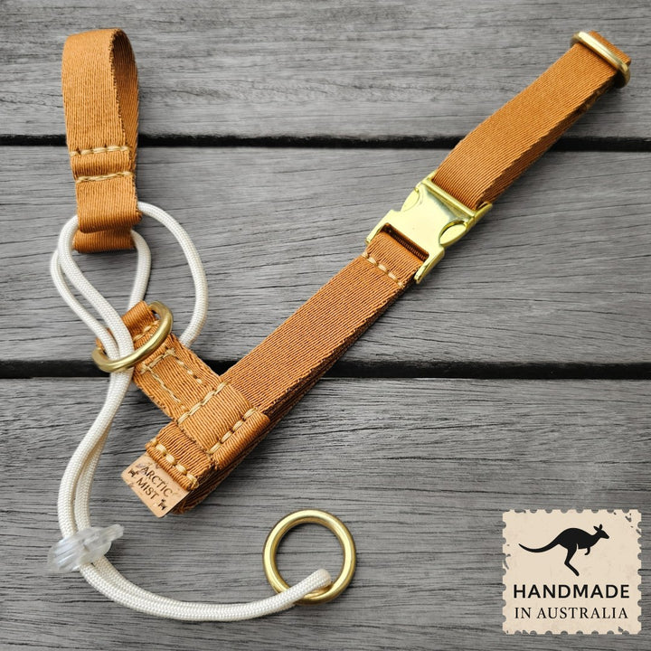 Caramel Latte Complete Adventure Training Halter
