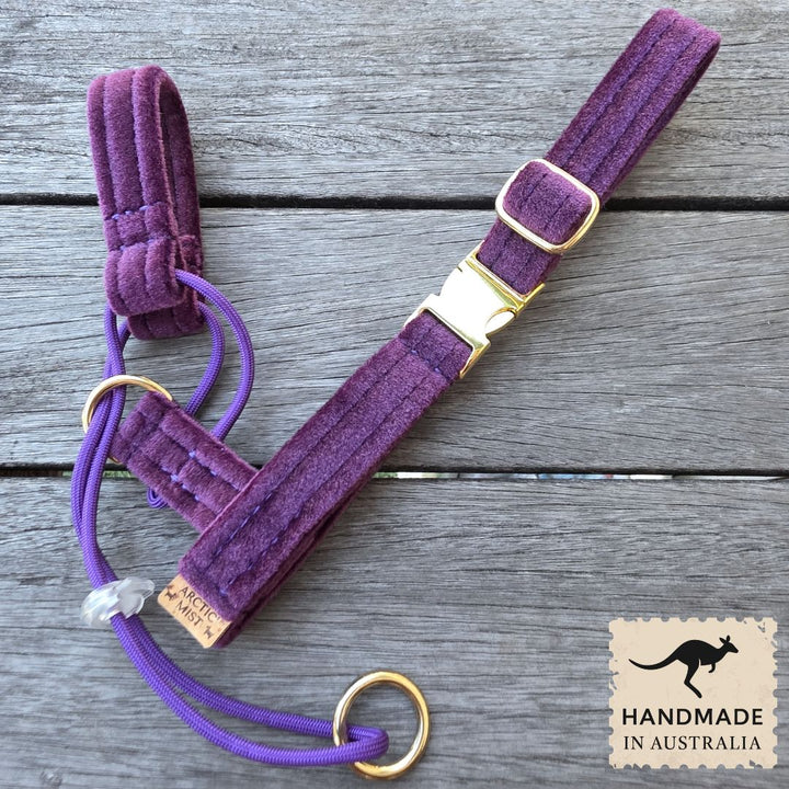 Midnight Plum Luxury Velvet Complete Training Halter