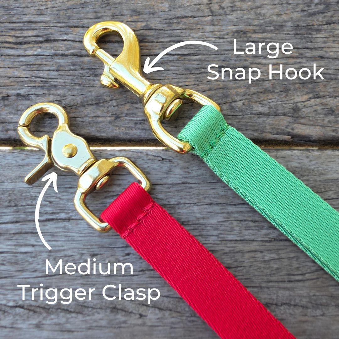 Sky Blue Adventure Lead