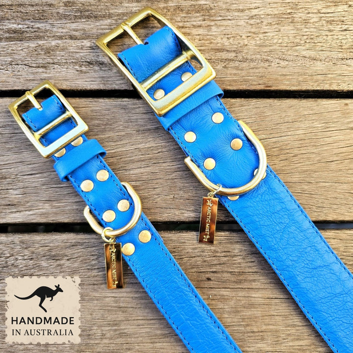 Luxury azure blue leather kangaroo dog collar, head halter and lead. Handmade in Australia