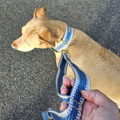 luxury blue st tropez dog lead leash polyester webbing traffic handle