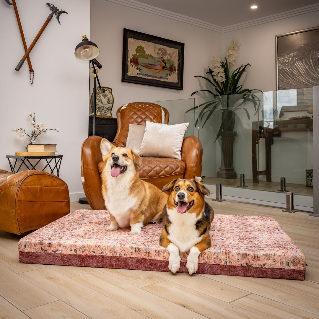 luxury australian made xlarge extra large orthopedic dog bed orthopaedic supportive dog bed great dane wolfhound St Bernard