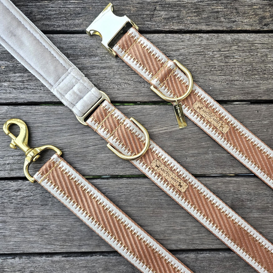 Caramel Latte St Tropez Statement dog lead polyester webbing