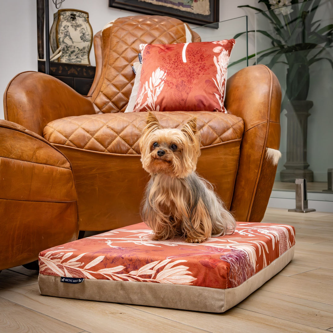 luxury australian made small orthopedic dog bed orthopaedic supportive dog bed