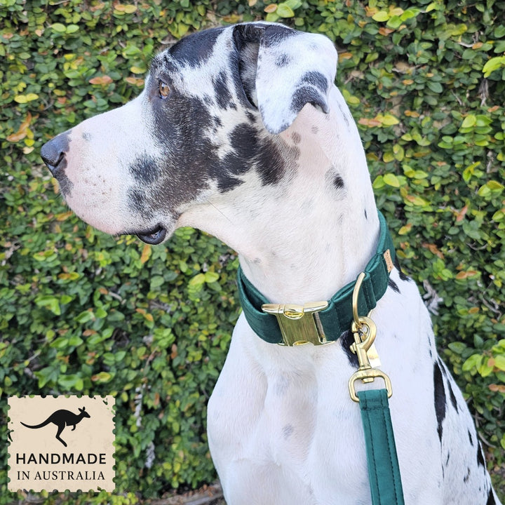 Forest Green Luxury Velvet Buckle Collar