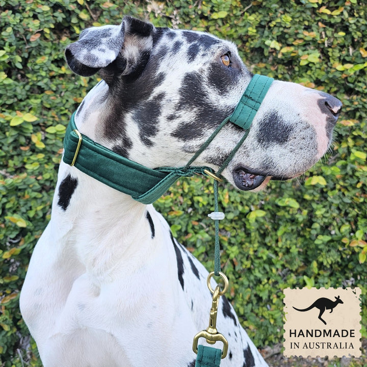 Forest Green Luxury Velvet Head Halter Attachment